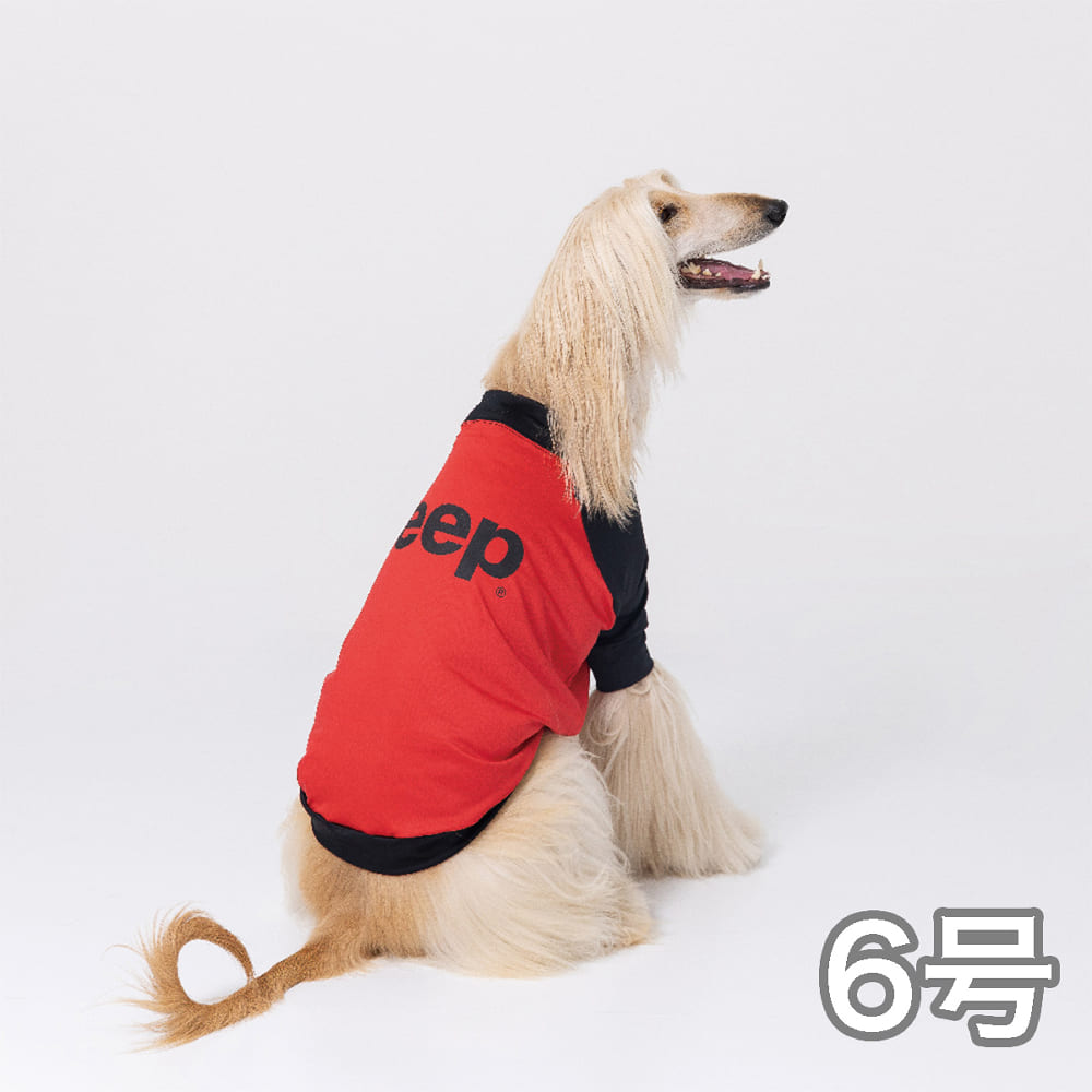 いぬ① 楽天市場】【JxK.Studio】JXK046 1/6 Zombie dogs 2.0 ゾンビ犬